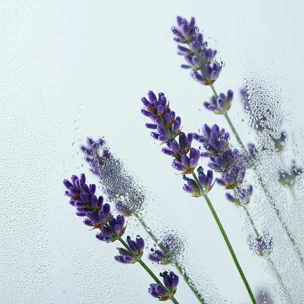 agua de ducha con fragancia a lavanda cuida la piel sensible