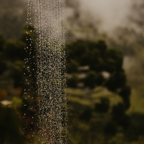 El agua de la ducha. Cómo afecta a tu piel y cómo protegerte.