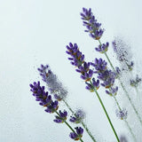 agua de ducha con fragancia a lavanda cuida la piel sensible